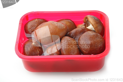 Image of Fresh mushrooms