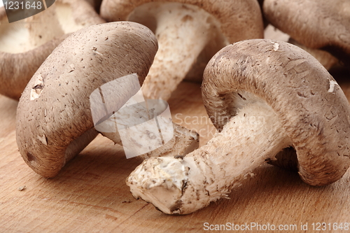 Image of Healthy food. Mushrooms