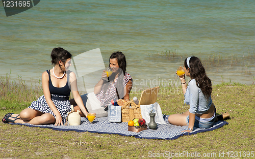 Image of Picnic