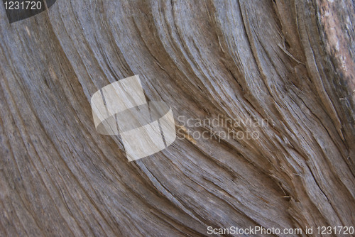 Image of A wood pulp texture