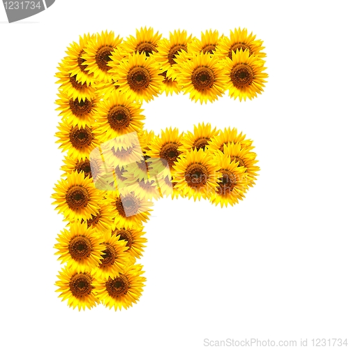 Image of alphabet of flowers
