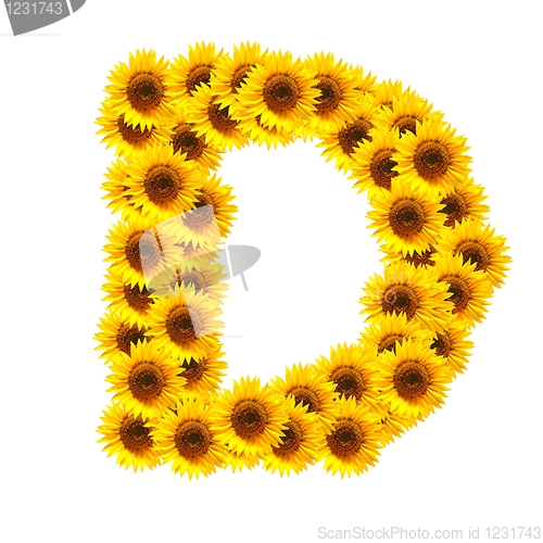 Image of alphabet of flowers