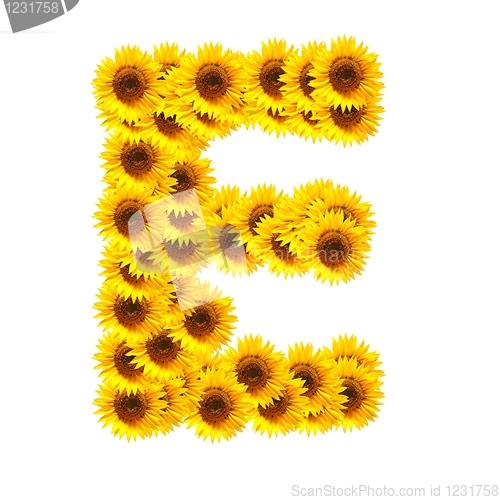 Image of alphabet of flowers