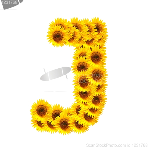 Image of alphabet of flowers