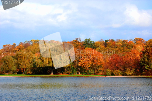 Image of autumnal forest un der blue sky