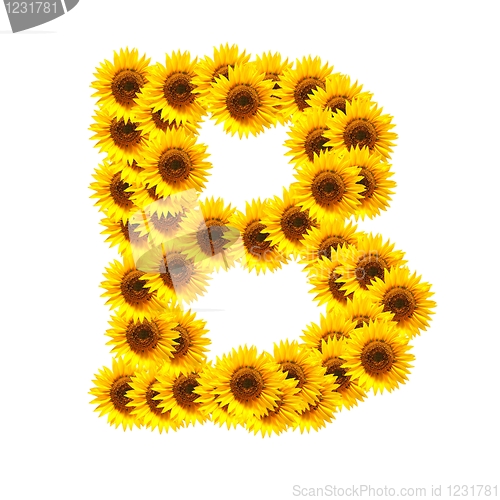 Image of alphabet of flowers