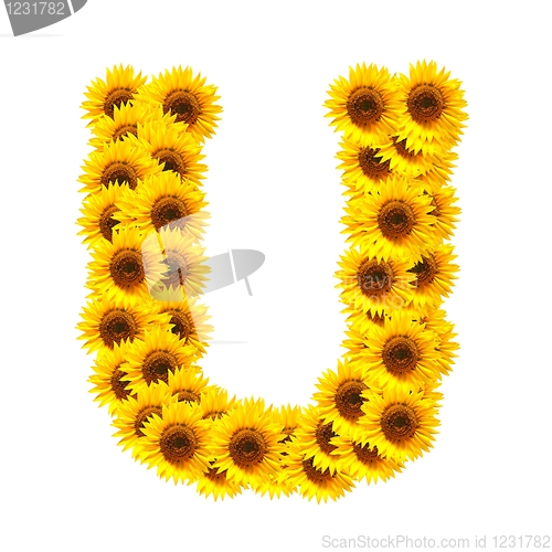 Image of alphabet of flowers