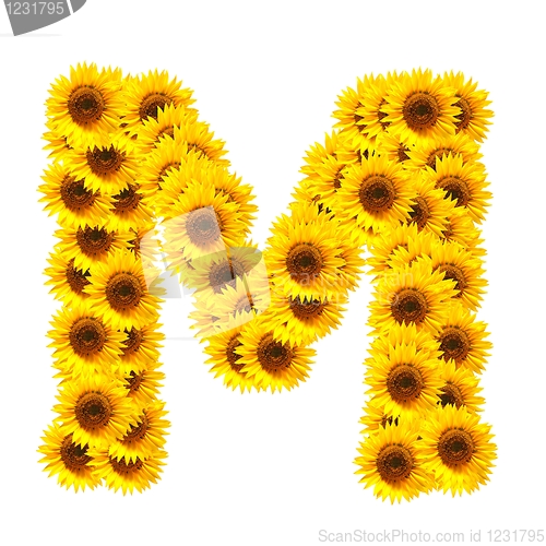 Image of alphabet of flowers