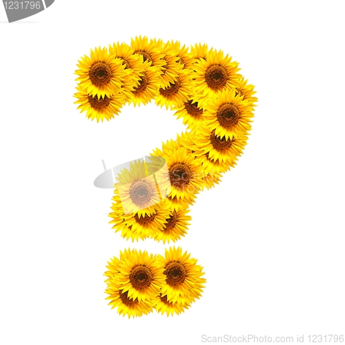 Image of alphabet of flowers