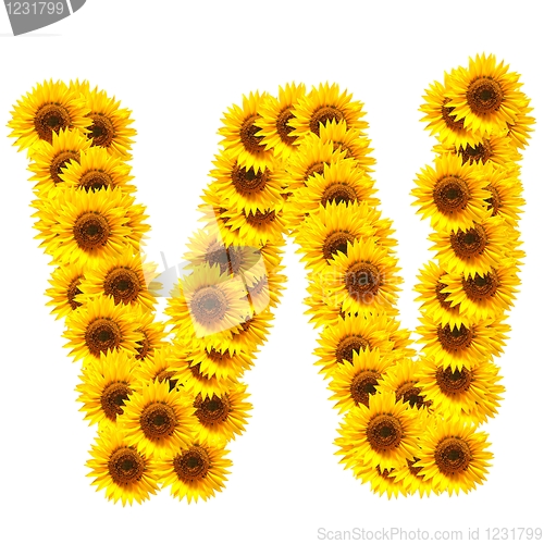 Image of alphabet of flowers