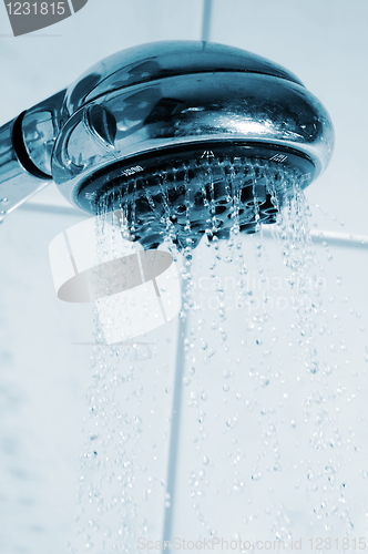 Image of shower and water