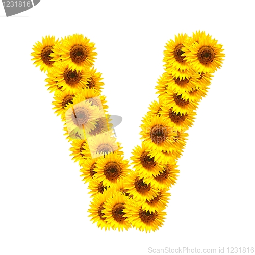 Image of alphabet of flowers