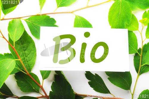 Image of bio