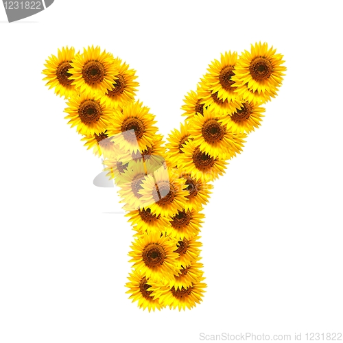 Image of alphabet of flowers