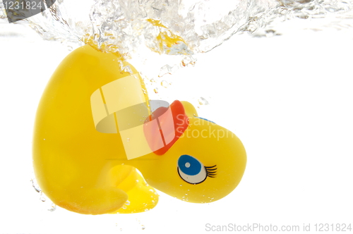 Image of rubber duck