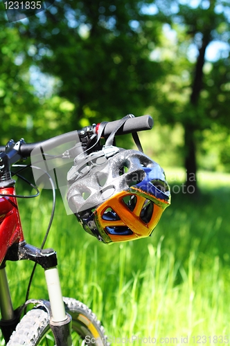 Image of bike helmet