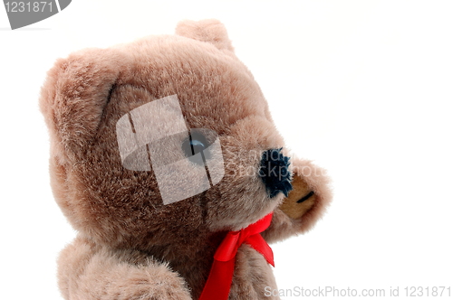 Image of teddy bear isolated on white background