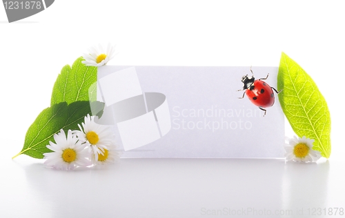Image of sheet of paper