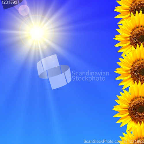Image of summer sun and copyspace