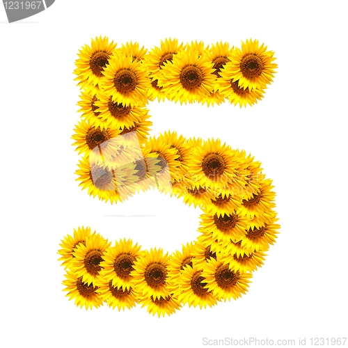 Image of alphabet of flowers