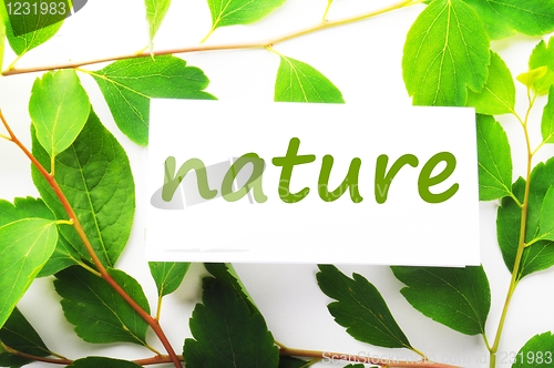 Image of nature