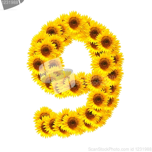 Image of alphabet of flowers