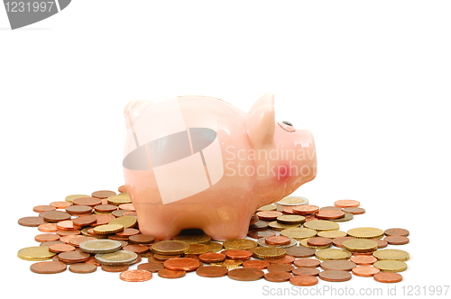 Image of piggy bank