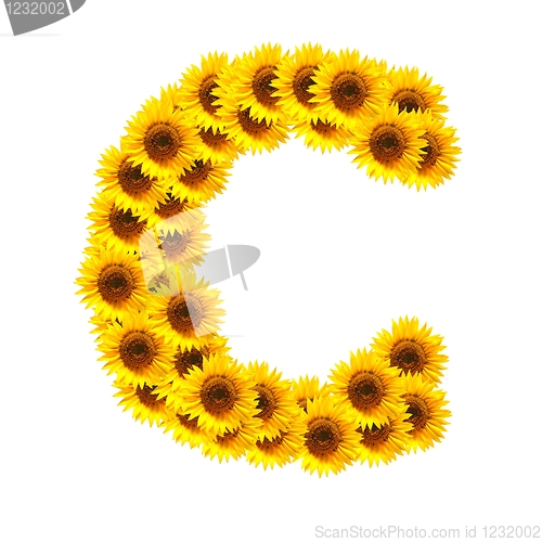 Image of alphabet of flowers