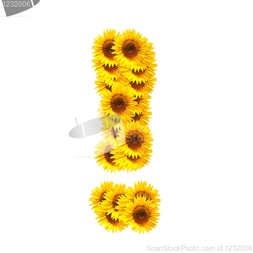 Image of alphabet of flowers