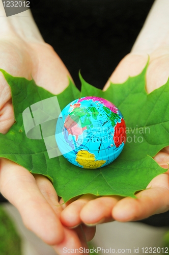 Image of globe in hand