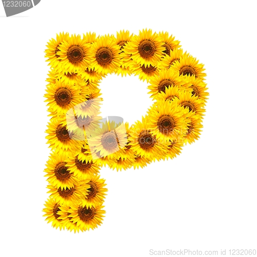 Image of alphabet of flowers