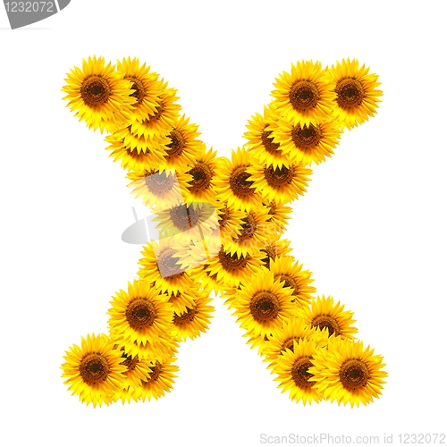 Image of alphabet of flowers