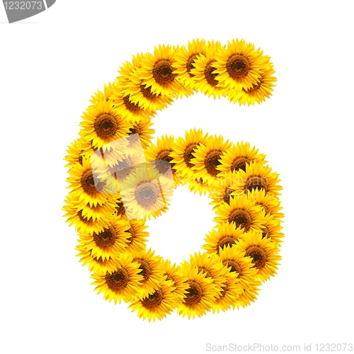 Image of alphabet of flowers