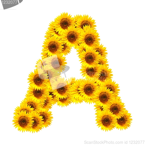 Image of alphabet of flowers