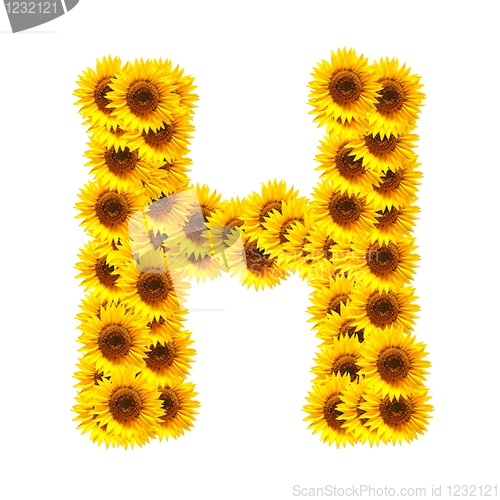 Image of alphabet of flowers