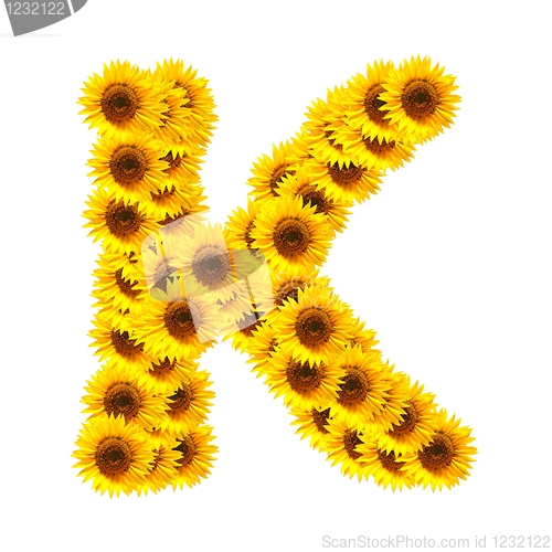 Image of alphabet of flowers