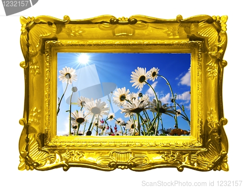 Image of flowers