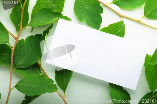 Image of paper