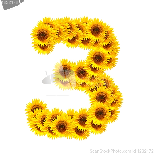 Image of alphabet of flowers