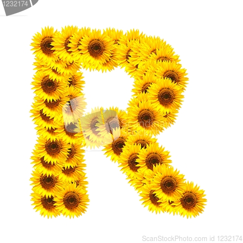 Image of alphabet of flowers