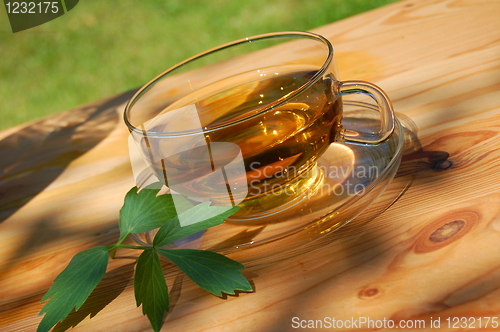 Image of cup tea in the garden