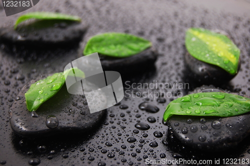 Image of zen stone wellness concept
