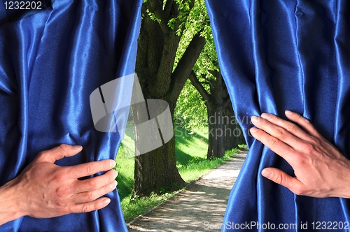 Image of park and blue curtain
