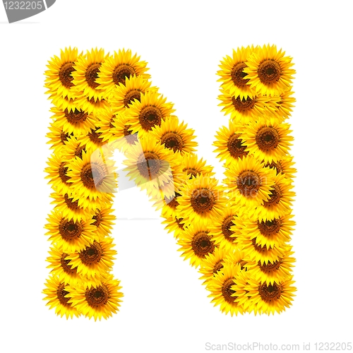 Image of alphabet of flowers