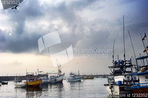 Image of Harbour in Sri Lanka