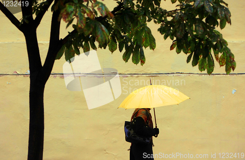 Image of yellow umbrella