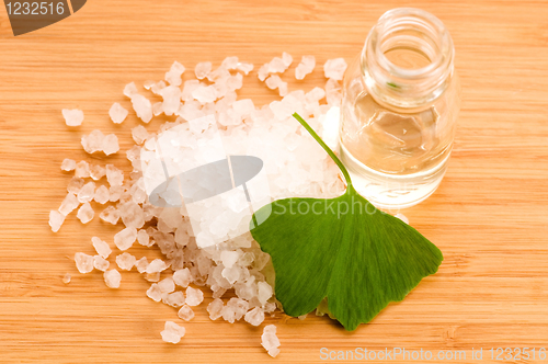 Image of fresh leaves ginko biloba essential oil and sea salt - beauty tr