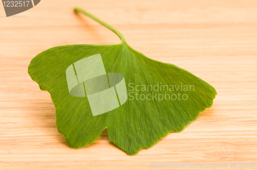 Image of Fresh Leaves Ginkgo On The Wood