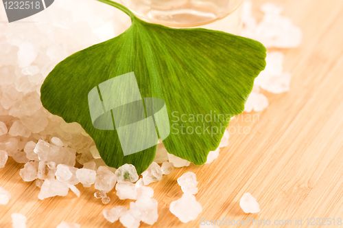 Image of fresh leaves ginko biloba essential oil and sea salt - beauty tr