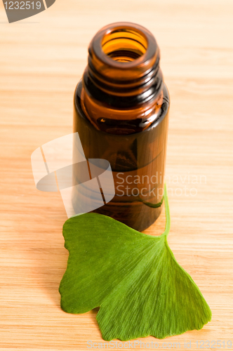 Image of ginko biloba essential oil with fresh leaves - beauty treatment